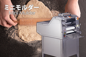 ミニモルダー